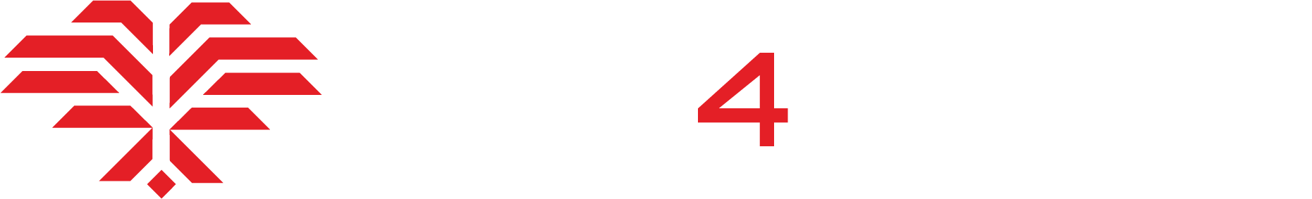 Dash-4-Safety-Fall-Protection-Logo